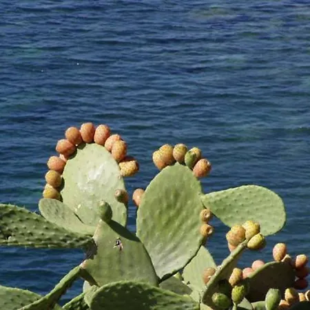 Pfa Ginevra - Isola D'elba 3*