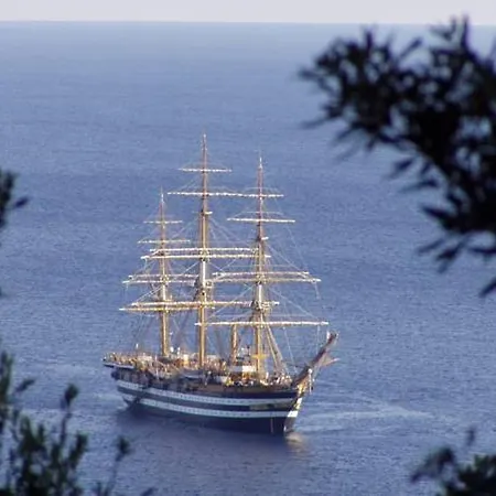 Pfa - Isola D'elba